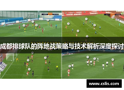 成都排球队的阵地战策略与技术解析深度探讨