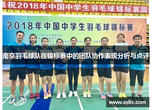 南京羽毛球队在锦标赛中的团队协作表现分析与点评