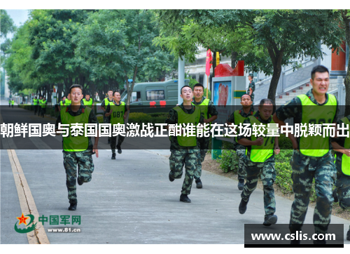 朝鲜国奥与泰国国奥激战正酣谁能在这场较量中脱颖而出
